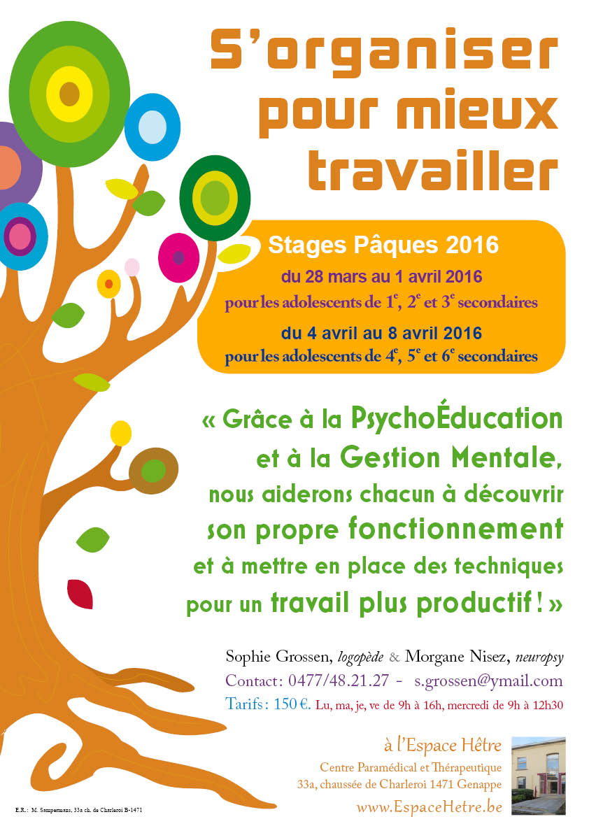 Affiche Stage paques 2016