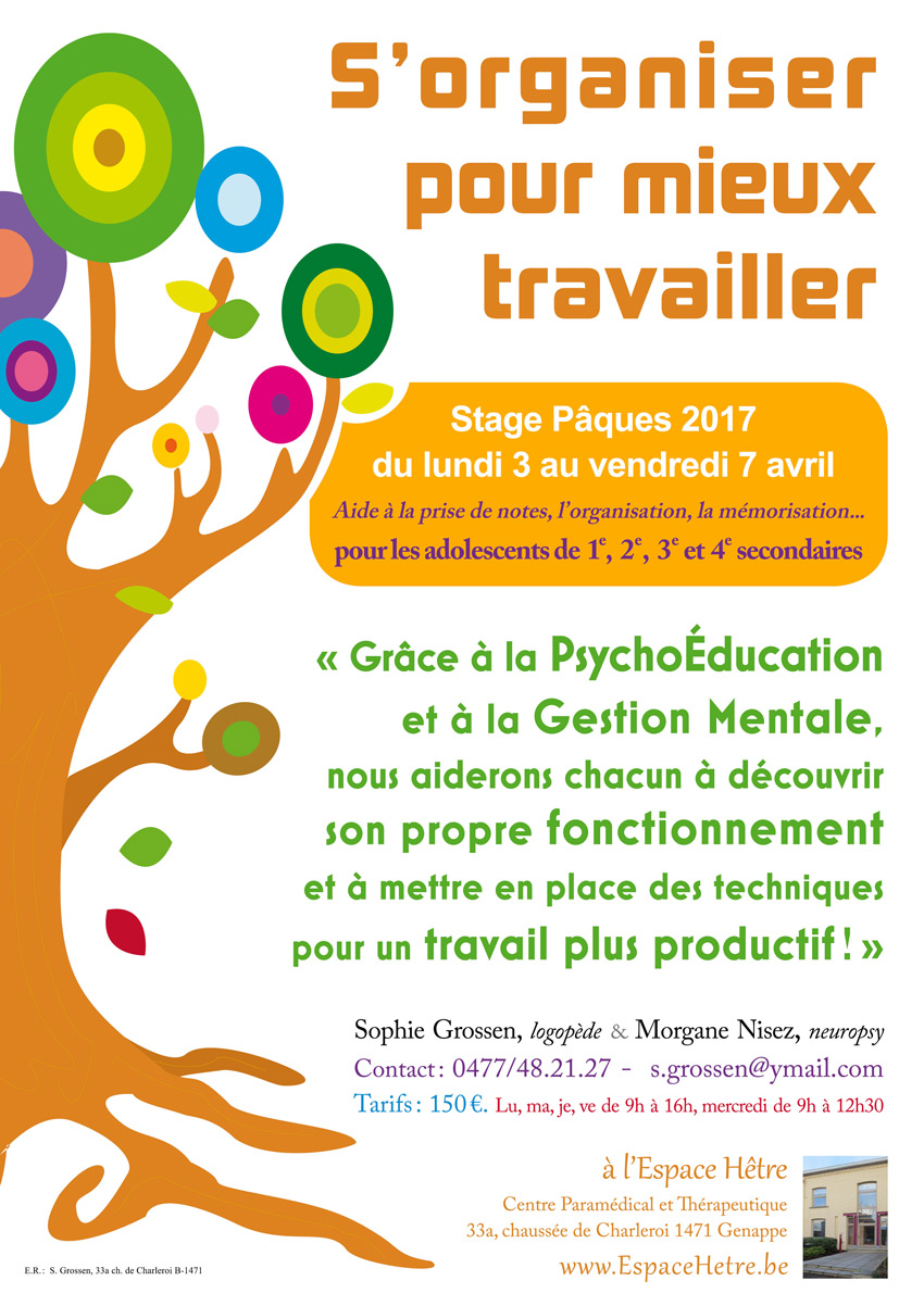 Affiche Stage paques 2016